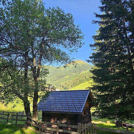 Kinder- Und Familienhotel Nockalm Innerkrems Dış mekan fotoğraf