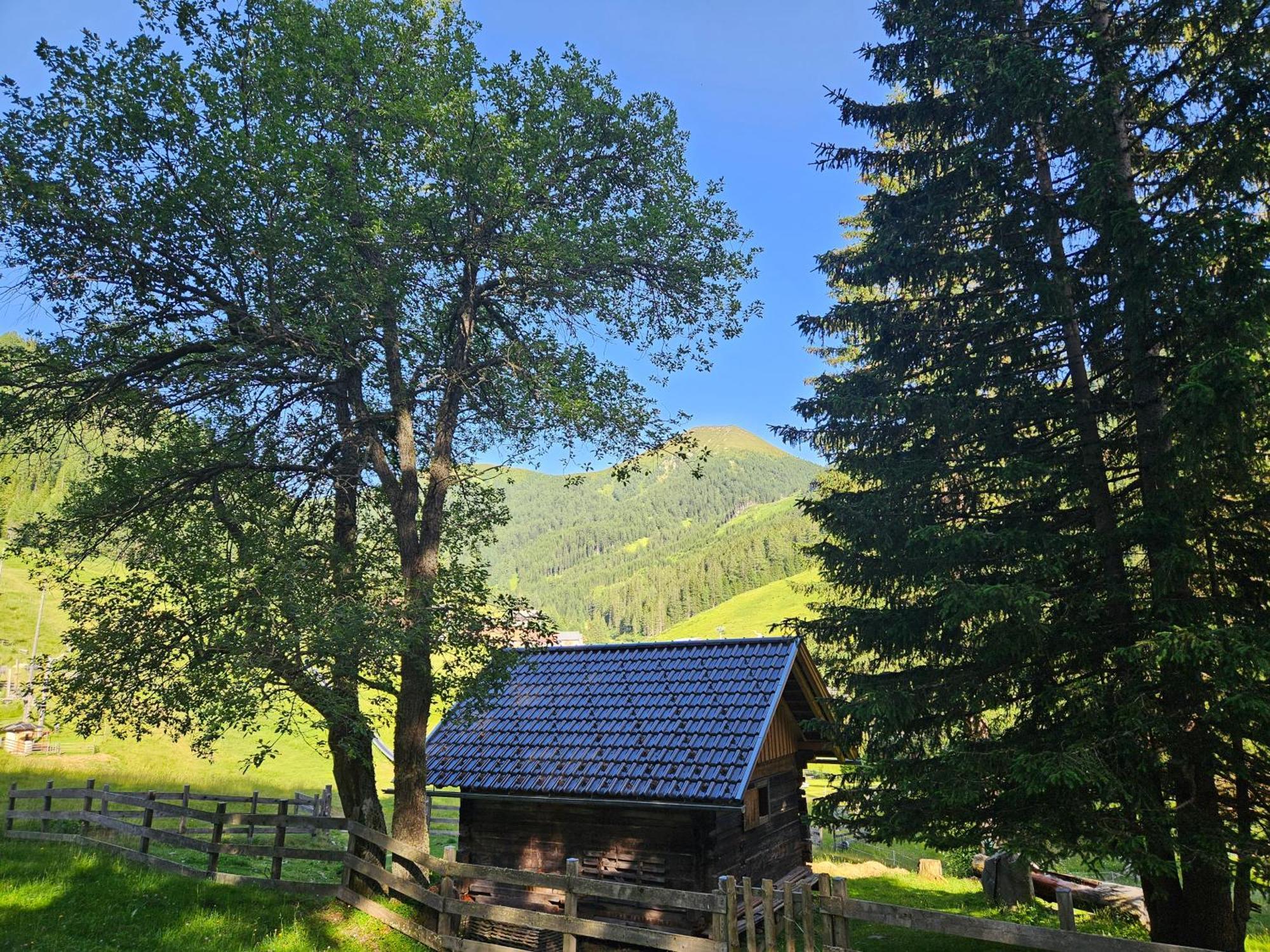 Kinder- Und Familienhotel Nockalm Innerkrems Dış mekan fotoğraf