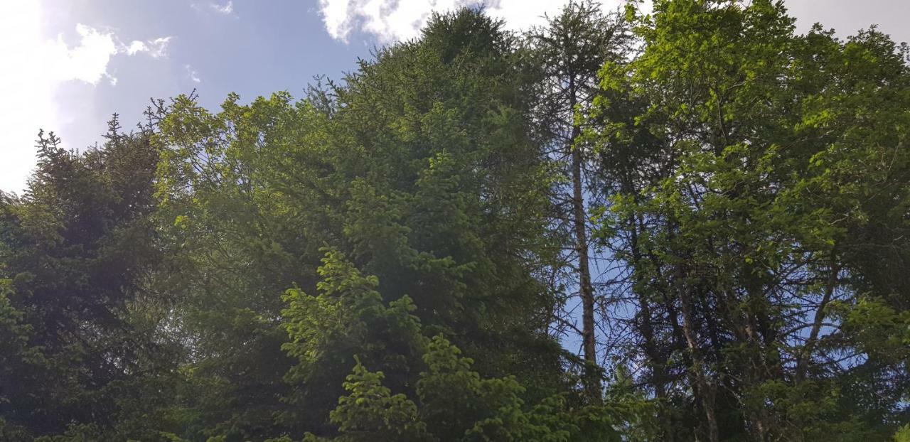 Kinder- Und Familienhotel Nockalm Innerkrems Dış mekan fotoğraf
